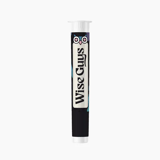 Wise Guys - Wise Guys | MAC 1 | Pre Roll | 1G - 1