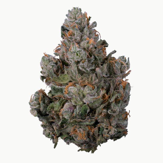 XOTX - Berry Burnout 28G - 1