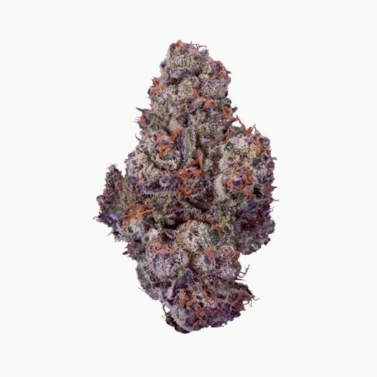 XOTX - Sugar Chew Bubbaloo 7G - 1