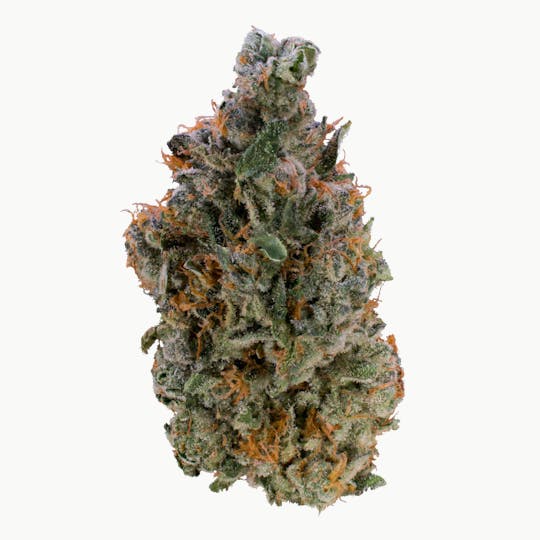 XOTX - High Walker 7G - 1