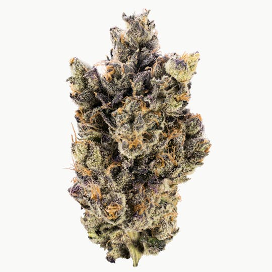 XOTX - LA Smog 28G - 1