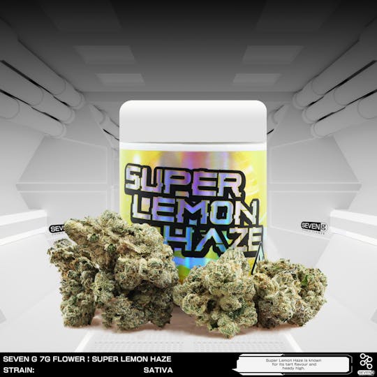 Seven G - Super Lemon Haze Sativa by Seven G - 1