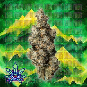 Emerald Visions - Loma Prieta - 1g Packaged Preroll - 1