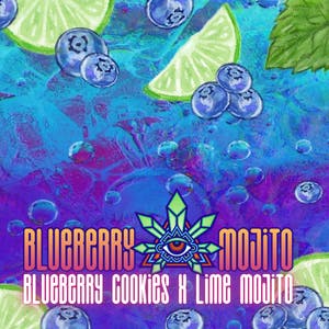 Emerald Visions - Blueberry Mojito - Prepackaged 8th - 1