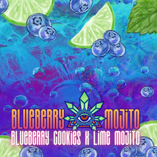 Emerald Visions - Blueberry Mojito - 1g Packaged Preroll - 1