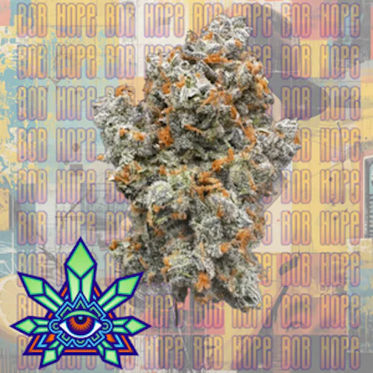 Emerald Visions - Bob Hope - Bulk Flower - 1