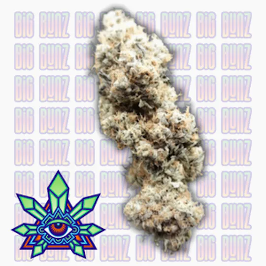 Emerald Visions - Big Buns - 2 Half Gram Packaged Prerolls - 1