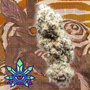 Emerald Visions - Big Buns - Bulk Flower - 1