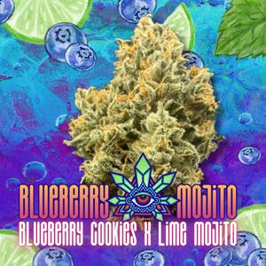 Emerald Visions - Blueberry Mojito - 1g Packaged Tobacco Free Blunt - 1