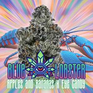 Emerald Visions - Blue Lobster - 2 Half Gram Packaged Prerolls - 1