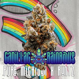 Emerald Visions - Cadillac Rainbows - 1g Packaged Preroll - 1