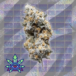 Emerald Visions - Carbon Fibre - Prepackaged 8th - 1