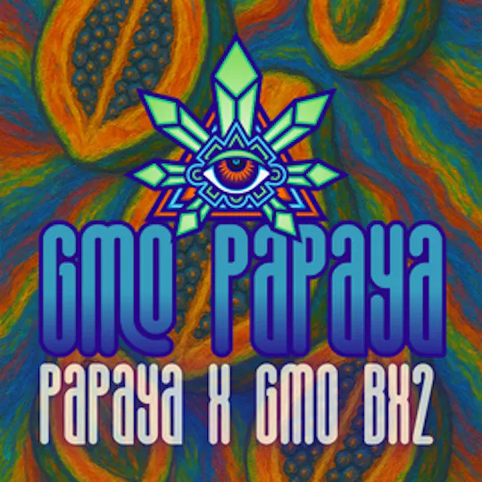 Emerald Visions - GMO Papaya - 2 Half Gram Packaged Prerolls - 1
