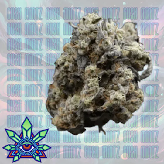 Emerald Visions - Gush MintZ - 1g Packaged Preroll - 1