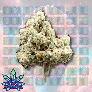 Emerald Visions - Hawaiian Snow Cone - 1g Packaged Preroll - 1