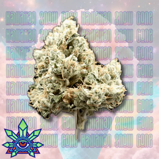 Emerald Visions - Hawaiian Snow Cone - 1g Packaged Preroll - 1