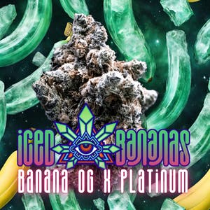 Emerald Visions - Iced Banana - Prepackaged 8th - 1