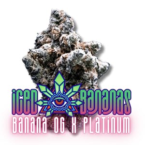 Emerald Visions - Iced Banana - 1g Packaged Preroll - 1