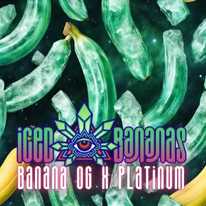 Emerald Visions - Iced Banana - 1g Packaged Tobacco Free Blunt - 1