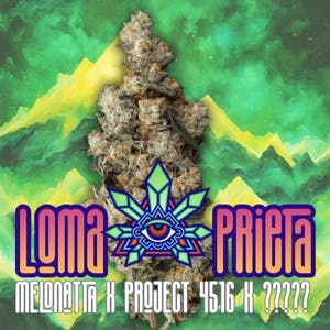 Emerald Visions - Loma Prieta - 1g Packaged Tobacco Free Blunt - 1