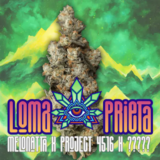 Emerald Visions - Loma Prieta - 1g Packaged Tobacco Free Blunt - 1