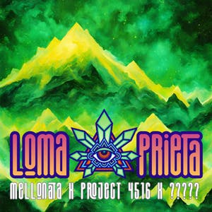 Emerald Visions - Loma Prieta - Bulk Flower - 1