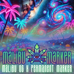 Emerald Visions - Malibu Marker - 1g Packaged Preroll - 1