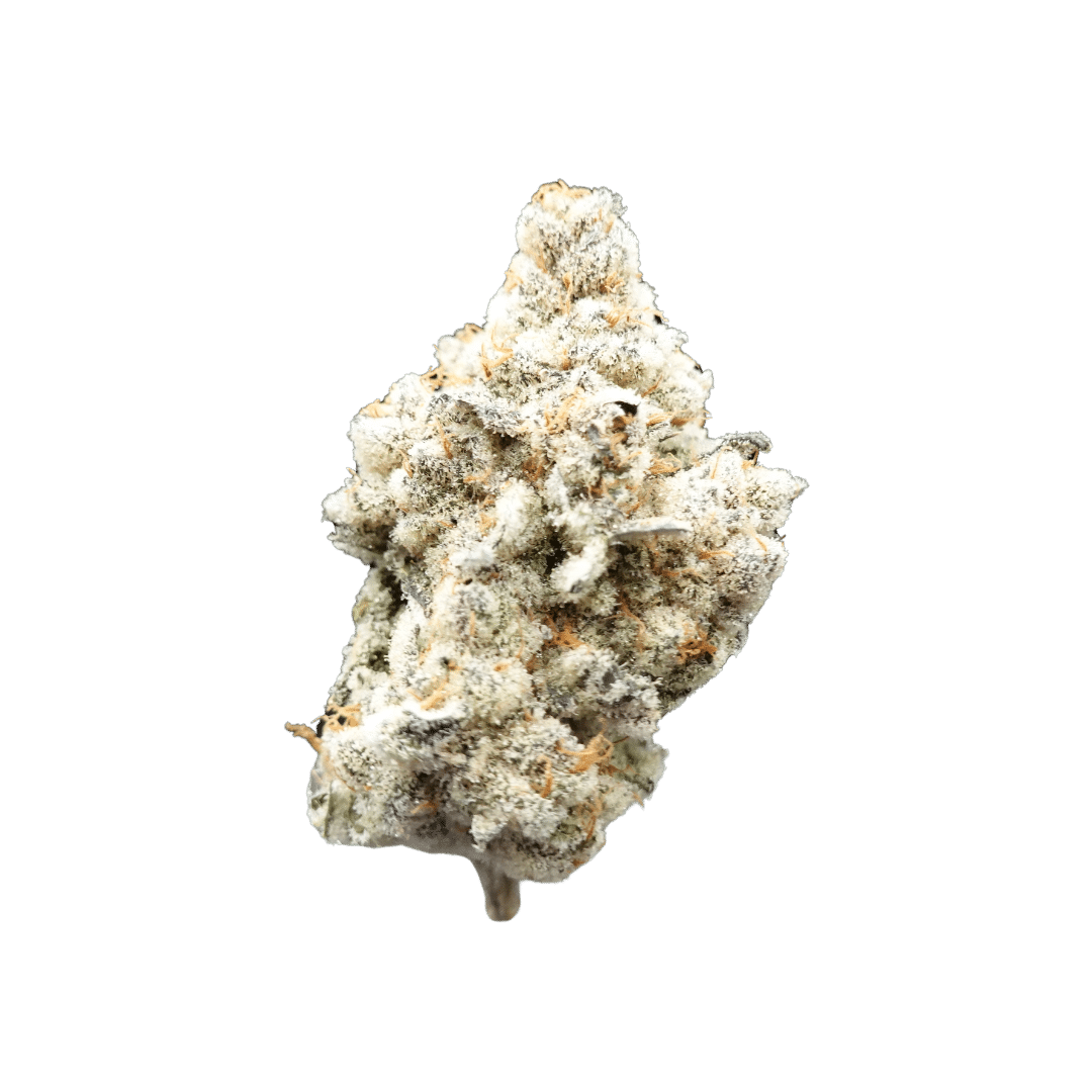 Emerald Visions - Wight Wizzard - 1g Packaged Preroll - 1