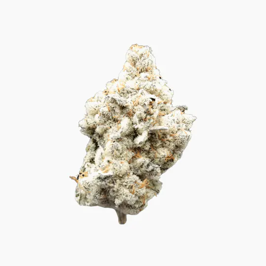 Emerald Visions - Wight Wizzard - 1g Packaged Preroll - 1