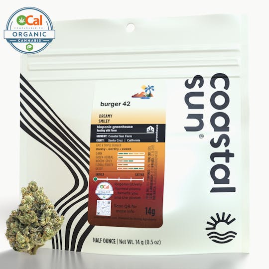 Coastal Sun - Burger 42 Greenhouse Flower 14g - 1