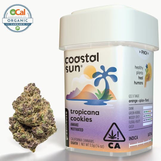 Coastal Sun - Tropicana Cookies Greenhouse Flower 3.5g - 1