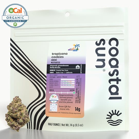 Coastal Sun - Tropicana Cookies Greenhouse Flower 14g - 1