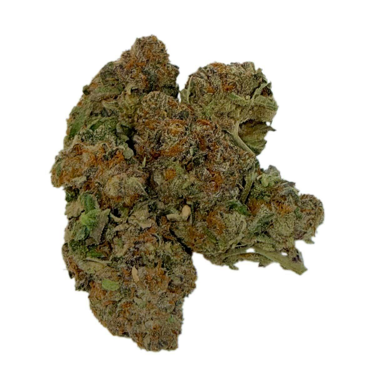 Freedom Road - Gross - 1