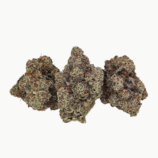 Freedom Road - Lemon G Bx1 - 1