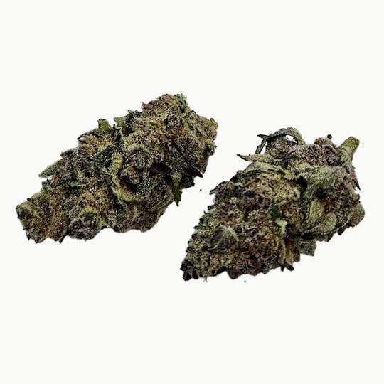 Freedom Road - Trop Cookies Bx - 1