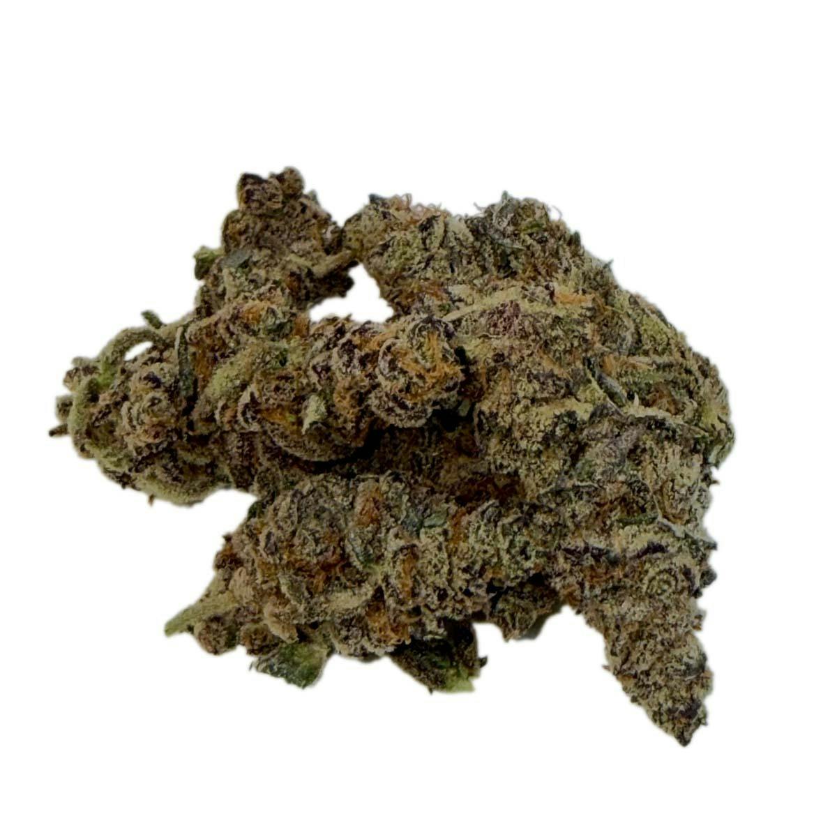 Freedom Road - White Flamingo - 1