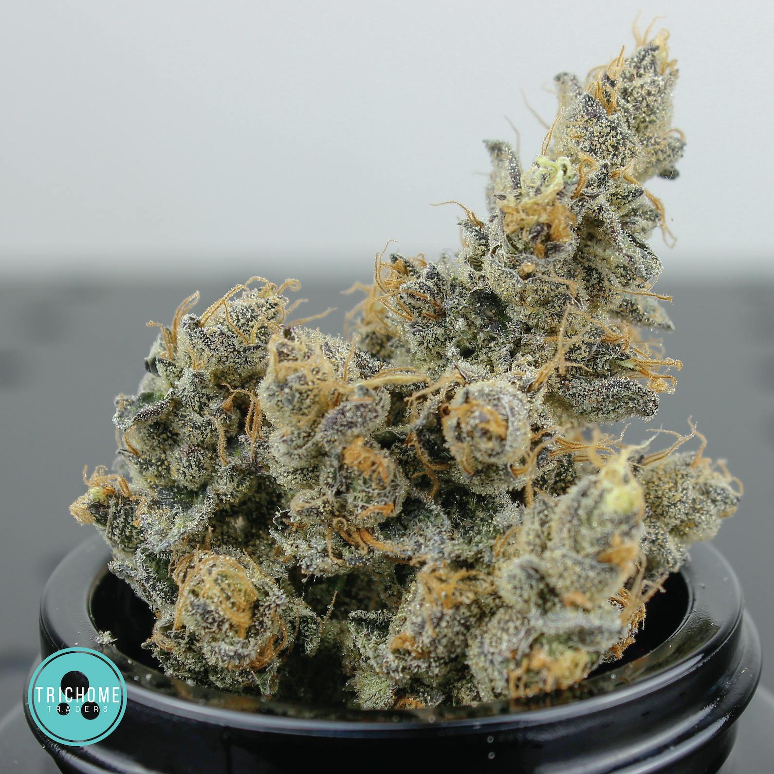 Trichome Traders - Sour Moewoe | Flower | Trichome Traders - 1
