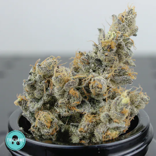Trichome Traders - Sour Moewoe | Flower | Trichome Traders - 1