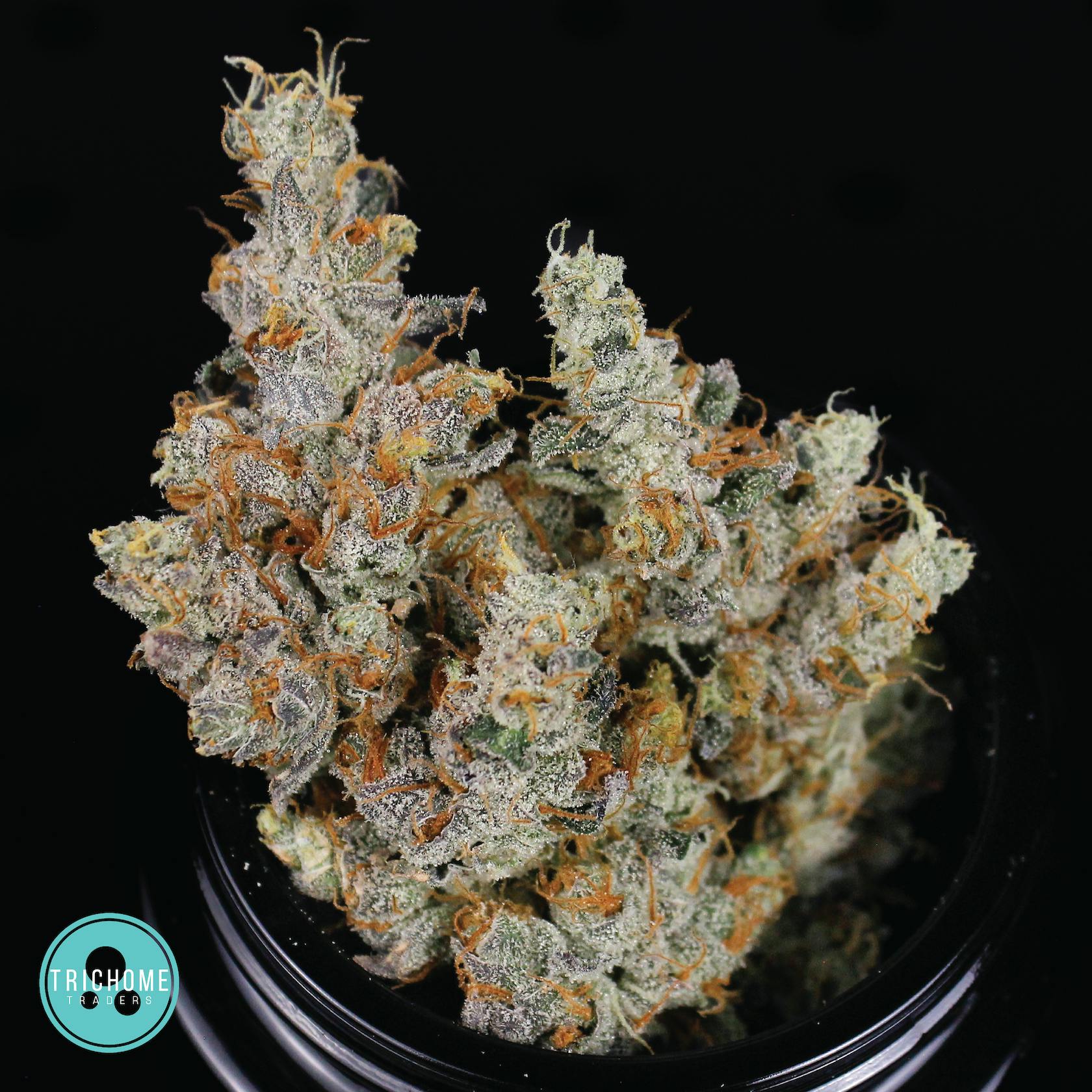 Trichome Traders - GMO Cookies | Flower | Trichome Traders - 1