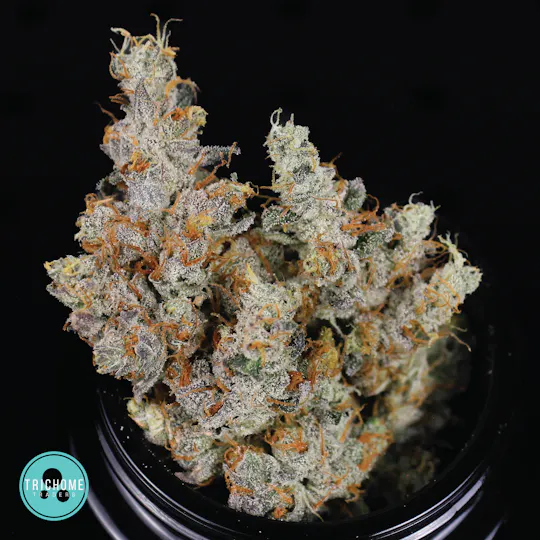 Trichome Traders - GMO Cookies | Flower | Trichome Traders - 1