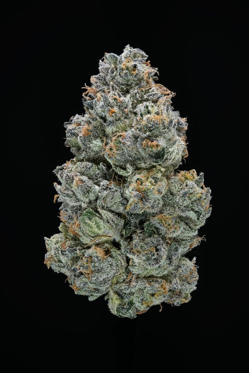 AETHER FIELDS - Aether Fields | Zilk | Big Buds | 3.5g - 1