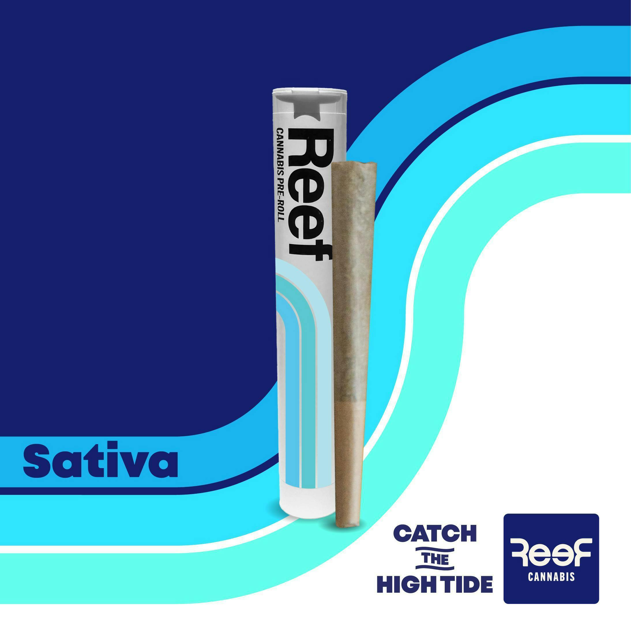 REEF Cannabis - Ocifer Pre-Roll 1g - 1