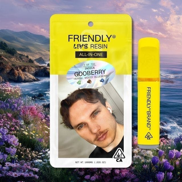 Friendly Brand - Friendly Brand | Gooberry | Live Resin AIO | 1g - 1