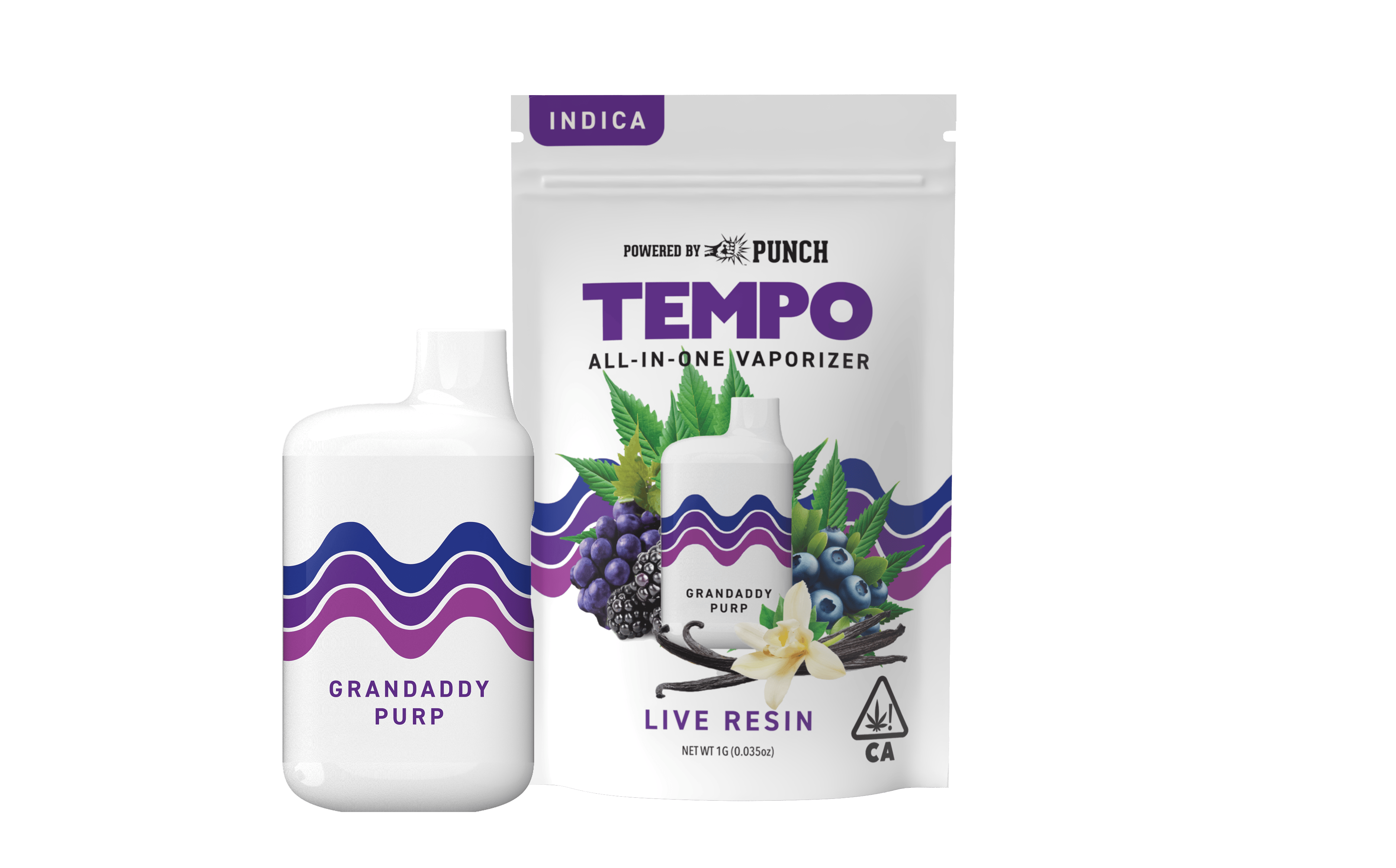 Tempo - Tempo | Granddaddy Purple | Live Resin AIO Disposable | 1g - 1
