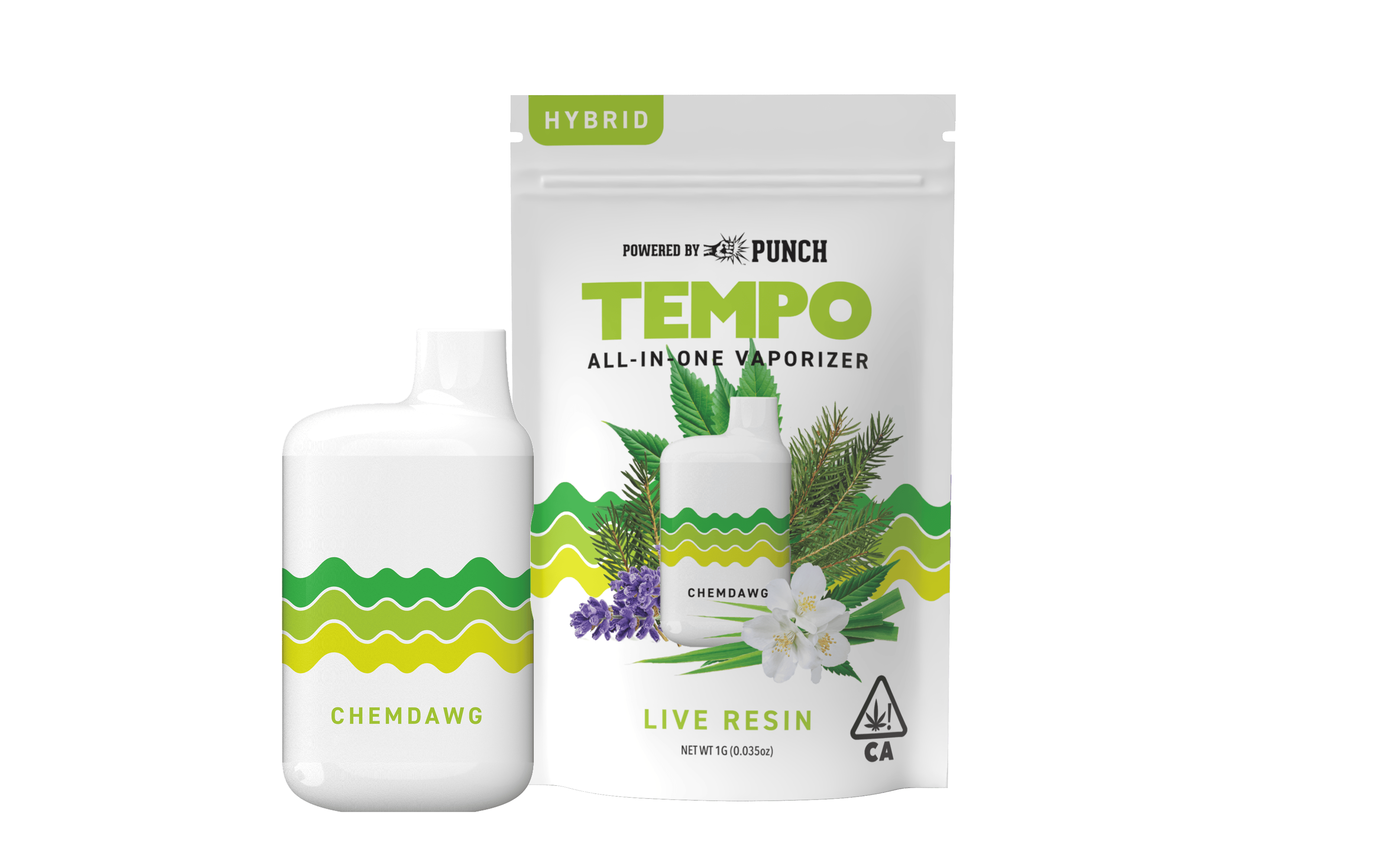 Tempo - Tempo | Chemdawg | Live Resin AIO Disposable | 1g - 1