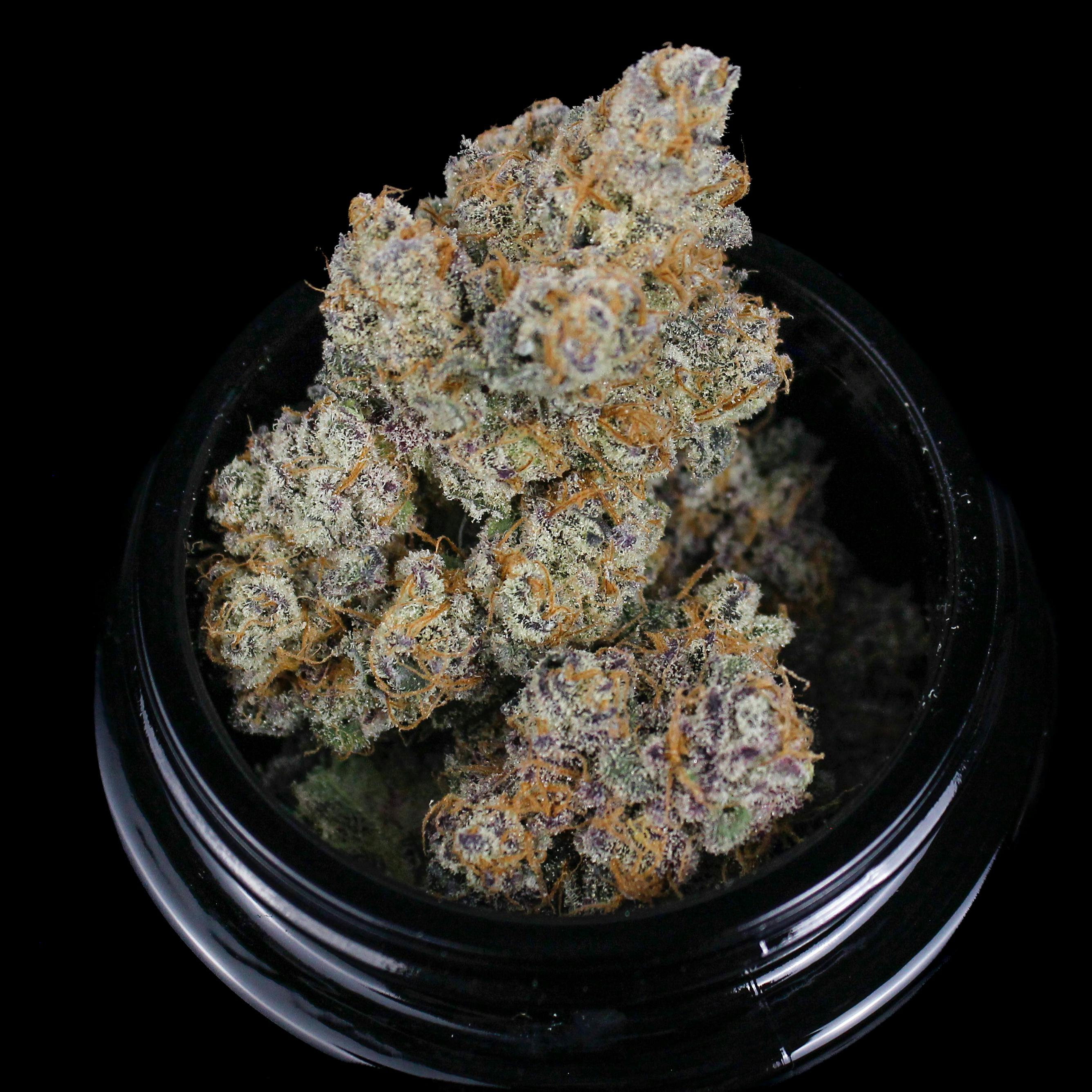 Trichome Traders - Peanut Butter Runtz | Flower | Trichome Traders - 1