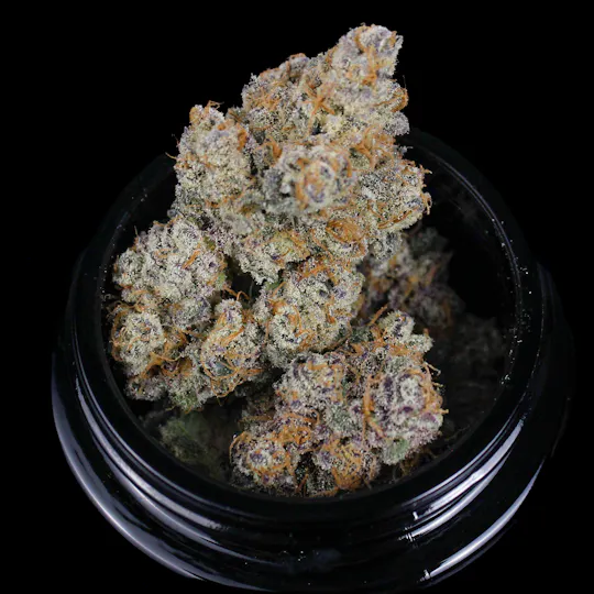 Trichome Traders - Peanut Butter Runtz | Flower | Trichome Traders - 1
