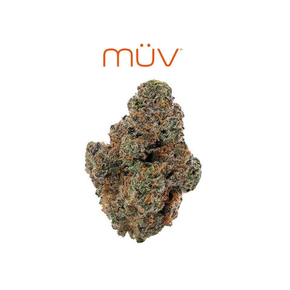 MÜV Cannabis Infused Products - MUV Flower - 3.5g - Apricot Stomper - 1