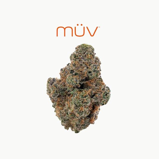 MÜV Cannabis Infused Products - MUV Flower - 3.5g - Apricot Stomper - 1