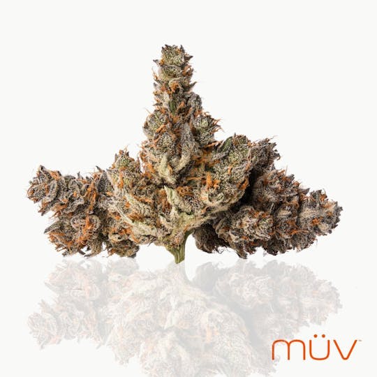 MÜV Cannabis Infused Products - MUV Flower - 14g - Gelanoidz #4 - 1